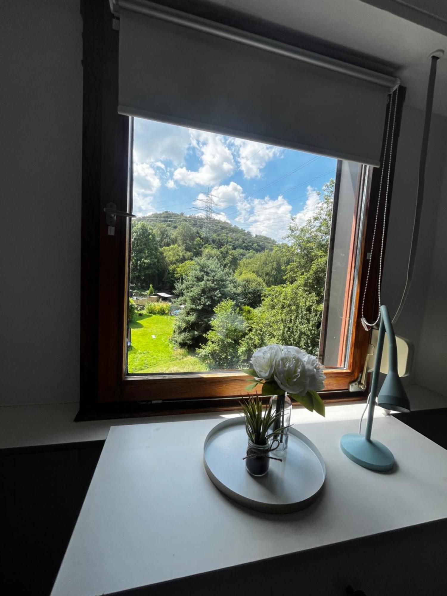 Apartamento Idyllisch Wohnen An Der Ruhr Hattingen Exterior foto